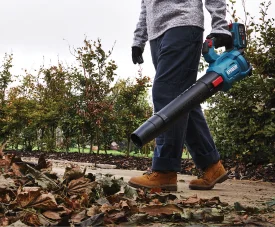 Aspirateur souffleur Offre Exclusive