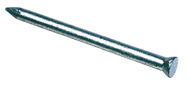 0,25kg de clous de maçon galvanisés acier tête plate Easyfix 2,5x25mm Code 55244 Prix Réduit