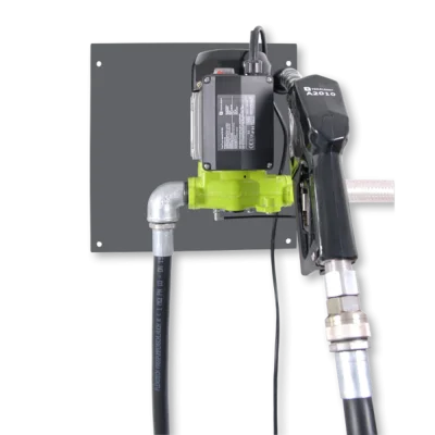 Pompe électrique 55 L/min sur platine pour montage mural Petit Prix