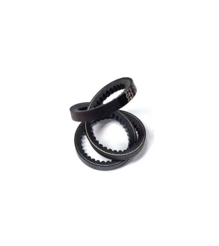 Retour Gratuit Courroie 1041LI ref 3912301008 pour marche avant sur motoculteurs Scheppach MTP850 et Woodster MB850