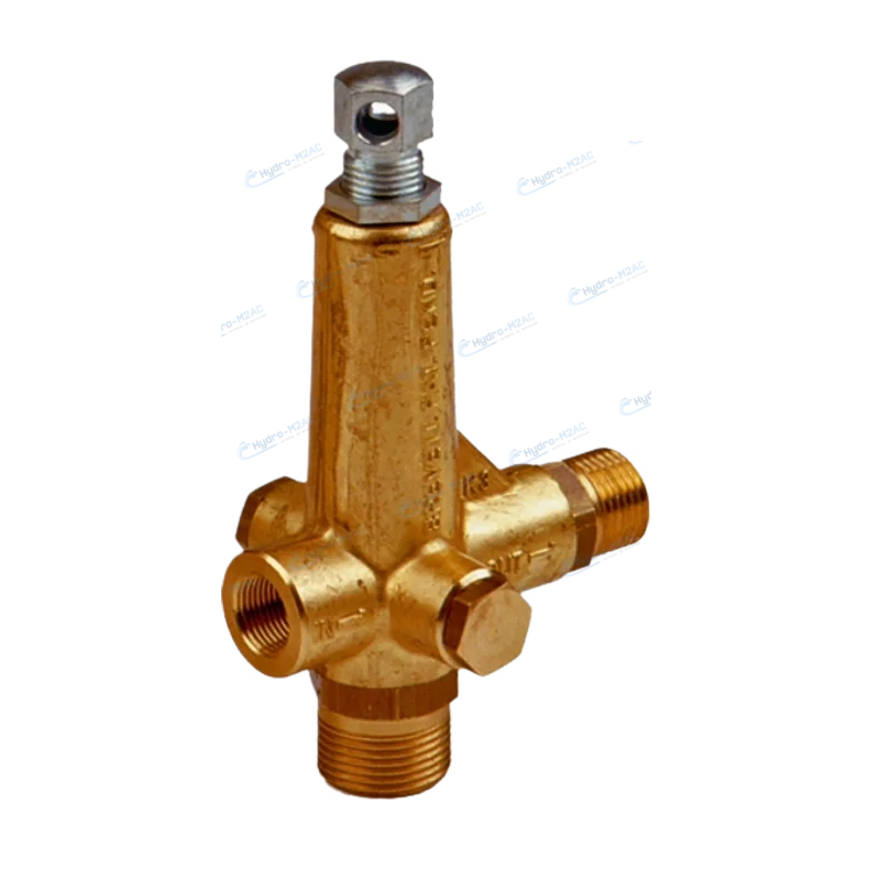 Bon Marché BY-PASS INTERPUMP K5.2 16/25 L/MIN